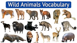 Learn Wild Animals Vocabulary in English  Part 1 [upl. by Lahcar]