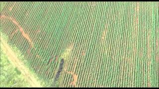 160ha Survey Data in Google Earth [upl. by Rawdan]