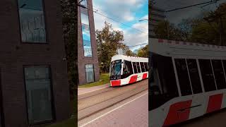 Tramtravel newvideo 🚃🇪🇪transportation shorts [upl. by Klina]