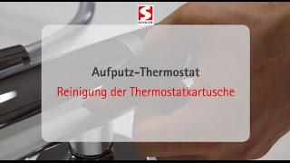 Reinigung einer Thermostatkartusche von Schulte [upl. by Kauppi]