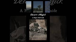 Desert Magick A Mojave Field Guide mojave newbookalert [upl. by Casabonne629]