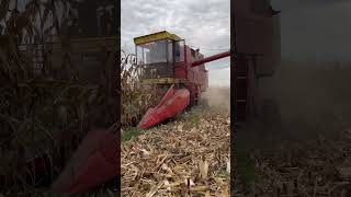 🔥🔥zmaj 142 hoce vatru da pljuje🔥🔥agriculture farming zmaj kukuruz [upl. by Fulbright765]