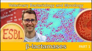 ESBLs and Carbapenemases Part 1  Veterinary Bacteriology and Mycology [upl. by Marla]