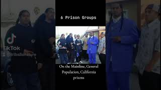 The 6 Prison Groups in the California Prison System [upl. by Eusebio]