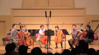 HAYDN  Divertimento for cello in D major [upl. by Nauqaj387]