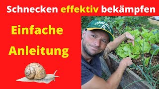 Schnecken effektiv bekämpfen 🐌  Einfache Anleitung100  👈 [upl. by Maurene]