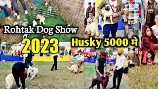 Rohtak Dog show 2023  Cheapest outside dog market  Rs5000 मे Husky [upl. by Thilde]