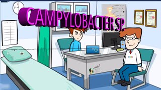 Microbiología Campylobacter jejuni [upl. by Landon]