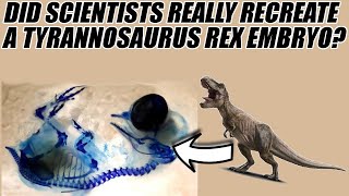 Did Scientists Recreate a TRex from a Chicken Embryo  Dinosaur Discoveries [upl. by Assilana]