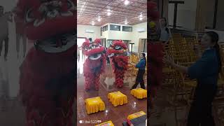 Barongsai peringatan HUT 33 Ming Ren Fho Yen [upl. by Claude93]