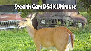 Stealth Cam DS4K Ultimate Trail Camera July 28 Aug 9 2024 [upl. by Aibos]