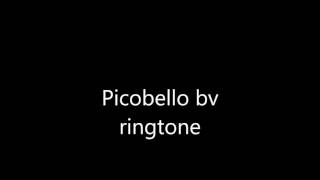 Picobello bv ringtone [upl. by Ecnarual804]