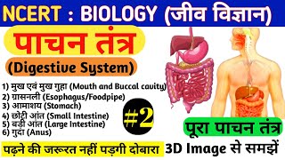 Digestive Systemपाचन तंत्रRailways ALPTechnicianntpcpcsbihar policesscBy Subhash Ranjan Sir [upl. by Esereht433]