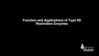 Function and Application of Type IIS Restriction Enzymes [upl. by Schertz]