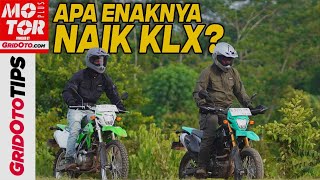 Terjawab Kenapa Kawasaki KLX Banyak Dipakai Harian  Gridoto [upl. by Notsob824]