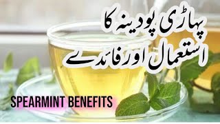 Spearmint tea benefits  Pahari pudina k faidy  tips amp tricks with sam [upl. by Brunhilda]