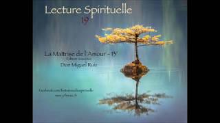 Lecture 19  Extrait quotLa Maîtrise de lAmourDon Miguel Ruiz [upl. by Kruter65]