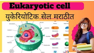 quotEukaryotic Cell Structure and Functionquot [upl. by Justin]