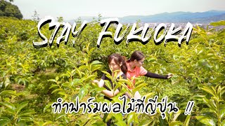 WWOOF The Series  ทำฟาร์มผลไม้ที่ Fukuoka  เจอลูกครึ่งไทยญี่ปุ่น [upl. by Leiru]