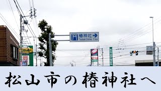 【神頼み】愛媛県松山市にある椿神社へお参り [upl. by Enayd]