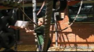 Gorilla Celebrates 50th Birthday with Cake Presents [upl. by Armington651]