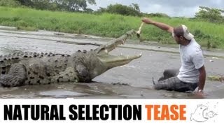 Man Almost Eaten by Crocodile [upl. by Eel288]