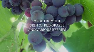 High Absorption Resveratrol  From The Skin of Red Grapes [upl. by Ecneret]