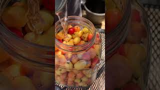 How to pickle crabapples khmerstyle crabapple howtopickle yummy [upl. by Kedezihclem]