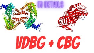 Vitamin D binding globulin amp Cortisol binding globulin in details All types of protein part 10 [upl. by Idnil338]