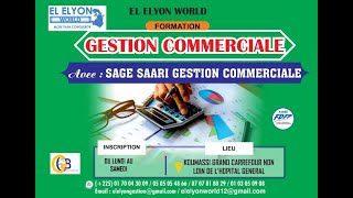 SAGE GESTION COMMERCIALE 4 LES RECOMMANDATIONS CATEGORIES TARIFAIRES [upl. by Docilu388]