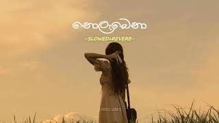 Nolabena  නොලැබෙනා  Slowed  Reverb [upl. by Notxap906]