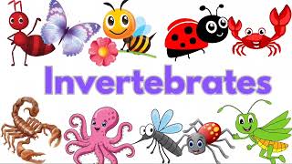 Invertebrates Names Part 1 Surprising Creatures List of InvertebratesAmazing Invertebrates [upl. by Fregger]