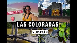 Las Coloradas y Río Lagartos ¡QUÉ HACER Y COMO LLEGAR  Yucatán México HD [upl. by Halstead]