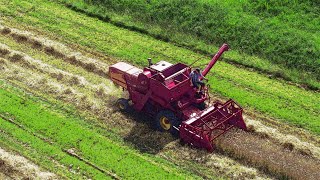 Dorsen demoveld zomertarwe Heyboer BV 2024 [upl. by Marj]