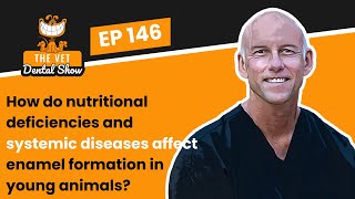 Ep 146 How do nutritional deficiencies affect enamel formation in young animals [upl. by Aysa]