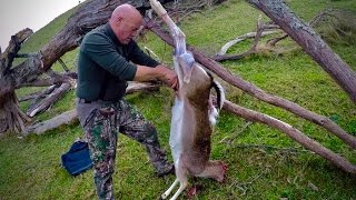 Hunting two deer with a 223 Rem rifle for meat in New Zealand  19 [upl. by Aicenra]