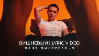 Ваня Дмитриенко  Вишнёвый Lyric Video [upl. by Repsihw]