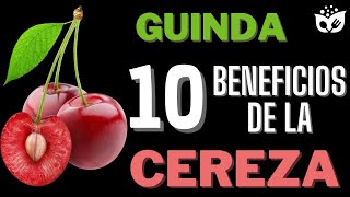 Conoce los Impresionantes BENEFICIOS Nutricionales de las CEREZASGUINDAS 🍒 [upl. by Rett]