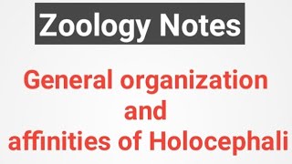 General organization and affinities of holocephali [upl. by Teragram]