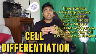 SPECIALISED CELLS Best Lesson Ever gcse cells cellbiology mrroshan [upl. by Faye]