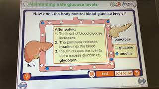 KS4GCSEBIOLOGYHormones Maintaining safe glucose levels food [upl. by Ataliah]