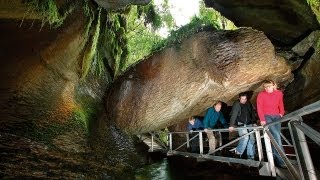 Te Anau Glowworm Caves  Real Journeys New Zealand [upl. by Pagas]