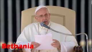 Papa Francisco Llama a la Santidad en Español Audiencia General [upl. by Goldshlag]