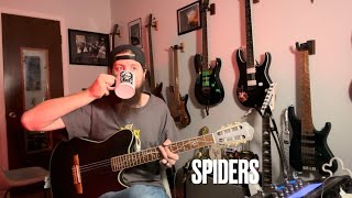 System of a Down Spiders Guitar Cover [upl. by Normandy617]