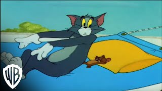 Tom and Jerry In the Dog House  quotCat Nappingquot  Tree  Warner Bros Entertainment [upl. by Inirt]