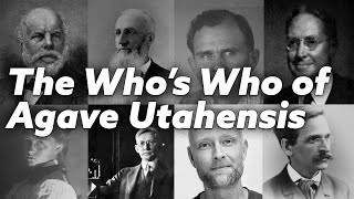 The Whos Who of Agave Utahensis Scientists Botanists and Explorers [upl. by Assetal]