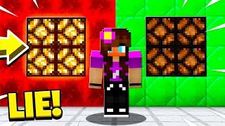 Using A LIE DETECTOR On My BEST FRIEND Minecraft [upl. by Heins]