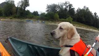 Descenso del sella con perro [upl. by Surovy780]