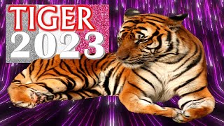 Tiger Horoscope 2023  Born 2022 2010 1998 1986 1974 1962 1950 1938 [upl. by Grewitz]