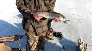 Winchester Lake Ice Fishing [upl. by Dirfliw]